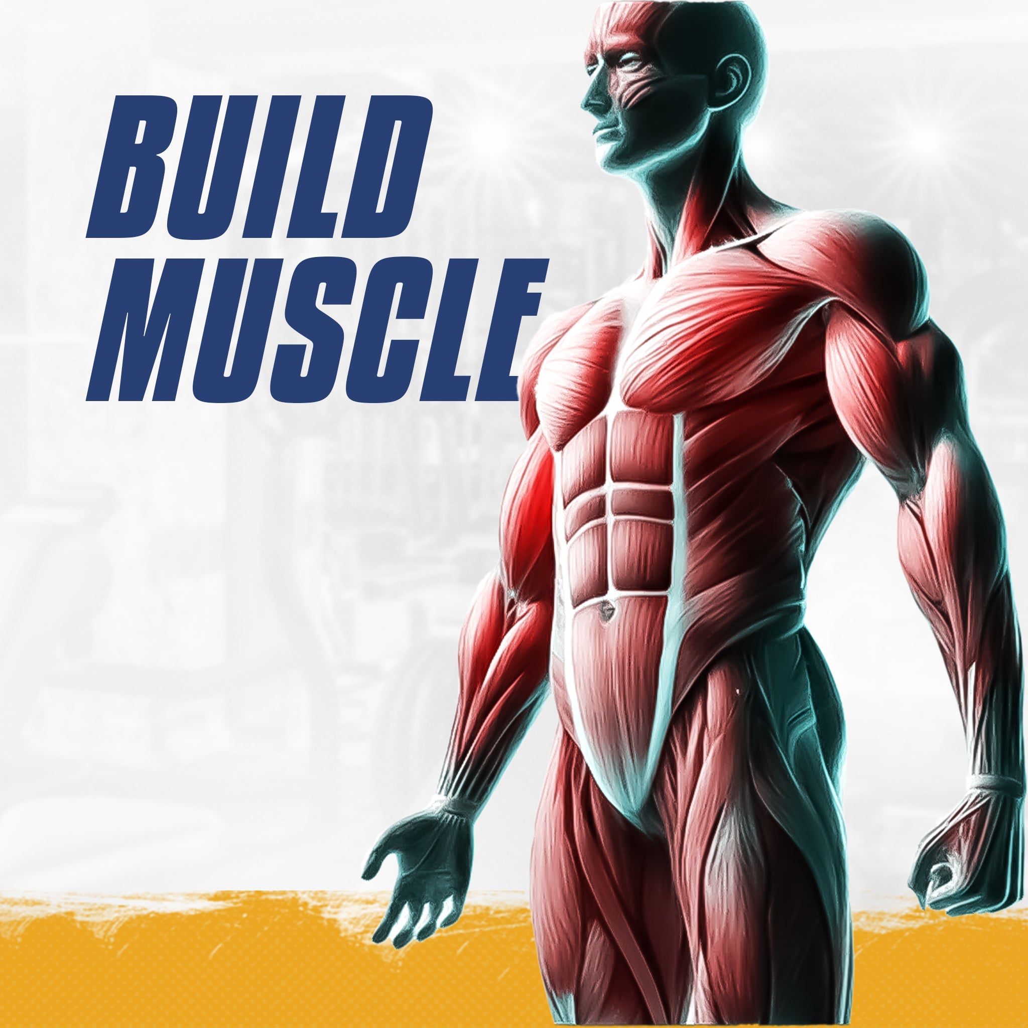 How to Build Lean Muscle: The Ultimate Guide