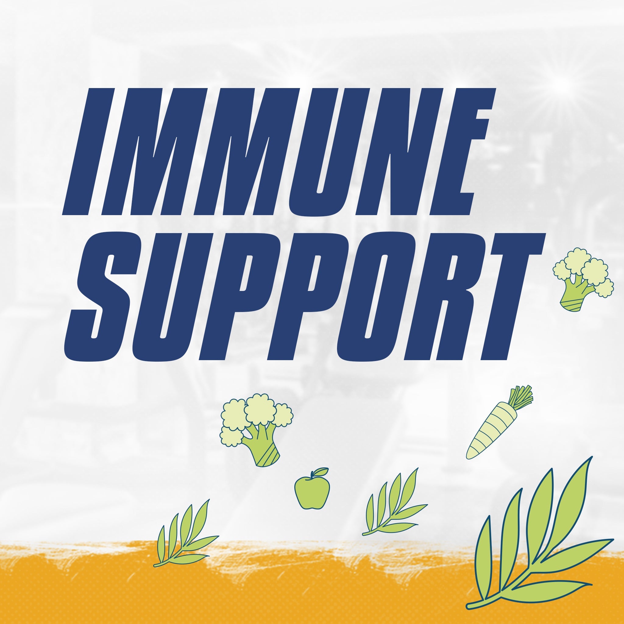 Immune Support Supplements: Science-Backed Guide to Staying Healthy