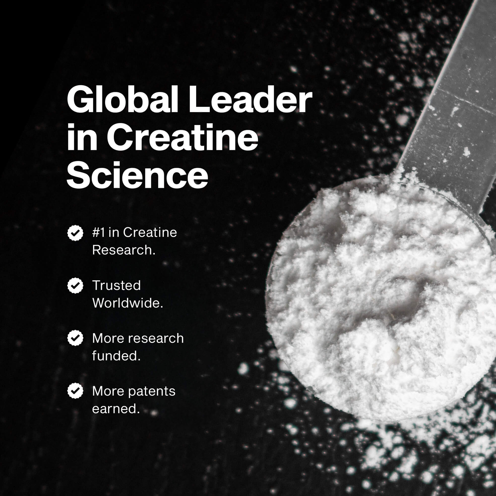 MT PLATINUM CREATINE UNFLAVORED 400G