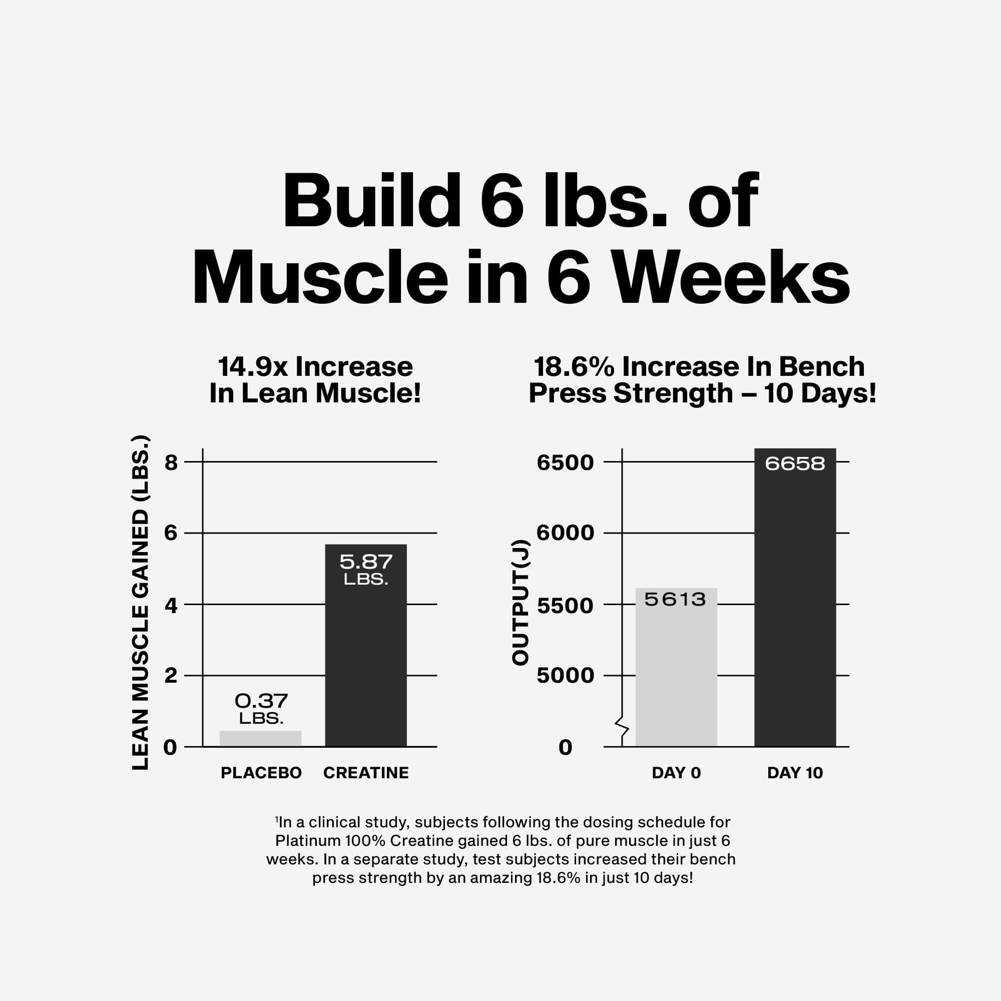 MT PLATINUM CREATINE UNFLAVORED 400G
